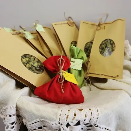 Metro 酒店 地拉那